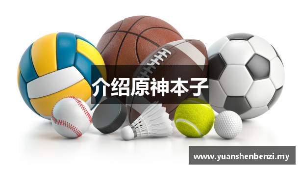 介绍原神本子
